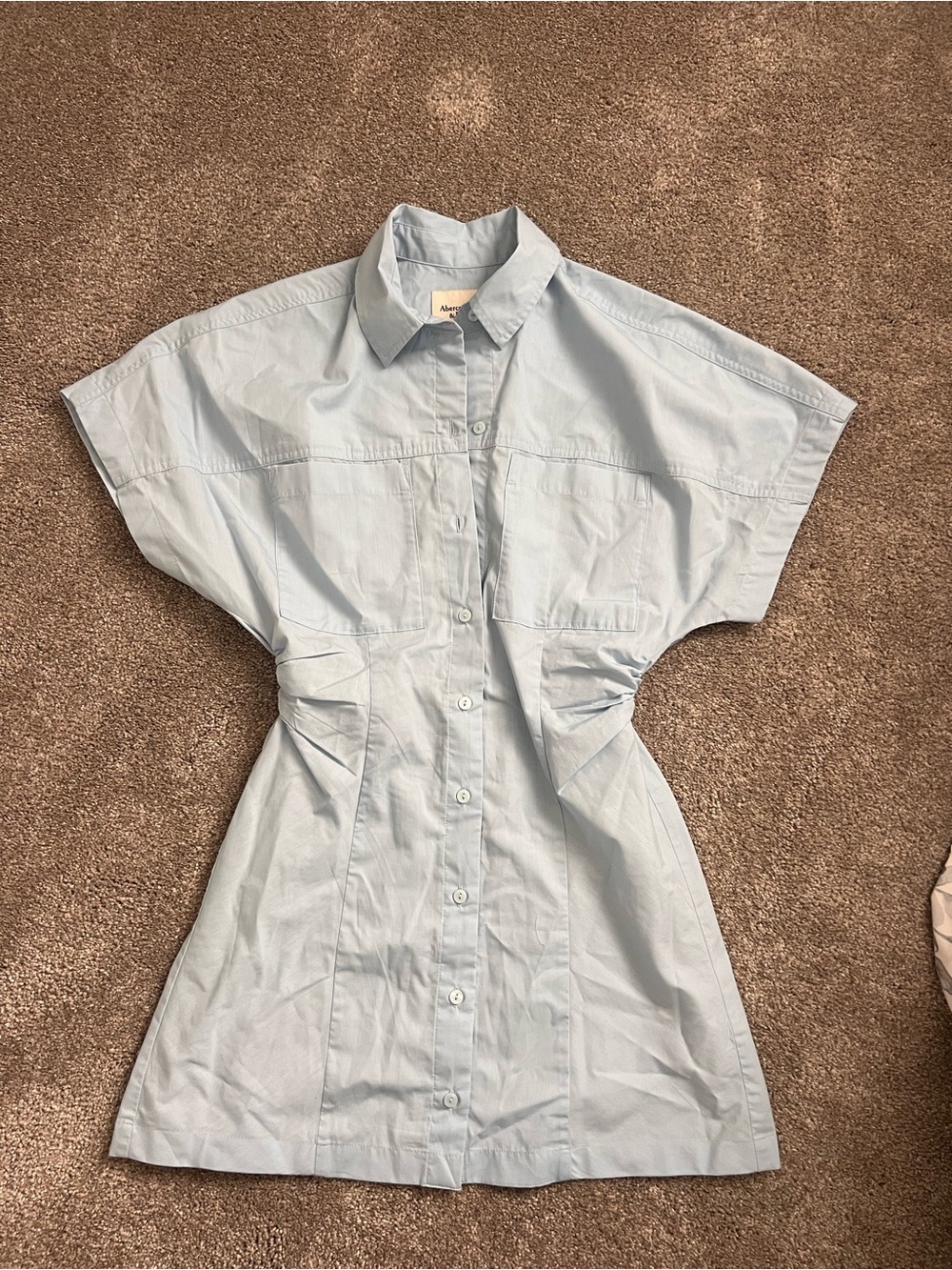 Abercrombie & Fitch Pale Blue Button-Front Mini Dress